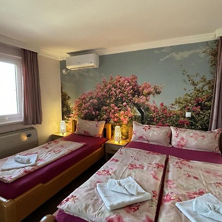 Apartmani "Marija" Golubac Εξωτερικό φωτογραφία