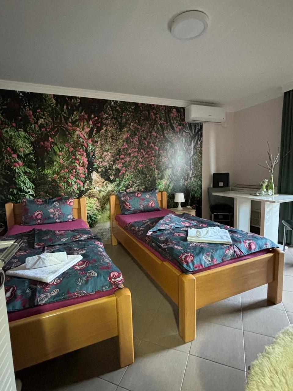 Apartmani "Marija" Golubac Εξωτερικό φωτογραφία